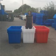 多規(guī)格水產養(yǎng)殖桶_塑料養(yǎng)殖桶_魚苗養(yǎng)殖桶杭州案例